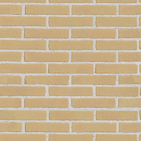 Textures   -   ARCHITECTURE   -   BRICKS   -   Facing Bricks   -   Smooth  - Facing smooth bricks texture seamless 00261 (seamless)