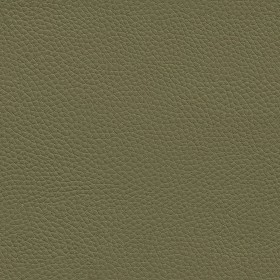 Textures   -   MATERIALS   -  LEATHER - Leather texture seamless 09598