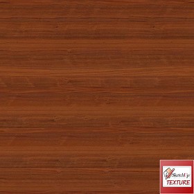 Textures   -   ARCHITECTURE   -   WOOD   -   Fine wood   -  Medium wood - Fine wood medium color texture seamless 16846