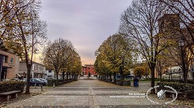 Textures   -   BACKGROUNDS &amp; LANDSCAPES   -  CITY &amp; TOWNS - Landscape with tree lined avenue hdr 20991