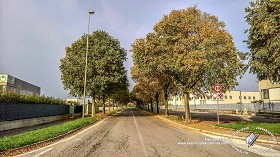 Textures   -   BACKGROUNDS &amp; LANDSCAPES   -  CITY &amp; TOWNS - Landscape with tree lined avenue hdr 20993