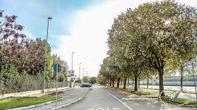Textures   -   BACKGROUNDS &amp; LANDSCAPES   -   CITY &amp; TOWNS  - Landscape with tree lined avenue hdr 20994