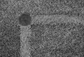 Textures   -   NATURE ELEMENTS   -   VEGETATION   -   Green grass  - Angle rugby field texture 18713 - Displacement