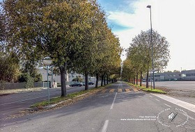 Textures   -   BACKGROUNDS &amp; LANDSCAPES   -  CITY &amp; TOWNS - Landscape with tree lined avenue hdr 20995