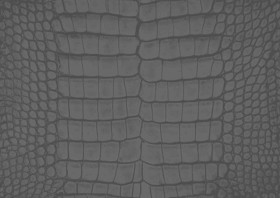 Textures   -   MATERIALS   -   LEATHER  - Leather texture seamless 09708 - Displacement