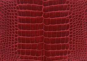 Textures   -   MATERIALS   -  LEATHER - Leather texture seamless 09708