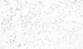 Textures   -   ARCHITECTURE   -   ROADS   -   Asphalt  - Asphalt with dead leaves texture seamless 19280 - Ambient occlusion