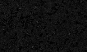 Textures   -   ARCHITECTURE   -   ROADS   -   Asphalt  - Asphalt with dead leaves texture seamless 19280 - Specular