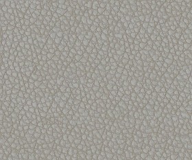Textures   -   MATERIALS   -   LEATHER  - Leather texture seamless 09710 - Specular
