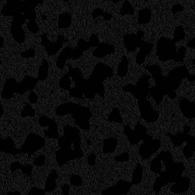 Textures   -   MATERIALS   -   FUR ANIMAL  - Dalmatian dog animal fur texture seamless 09563 - Specular