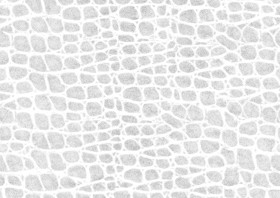 Textures   -   MATERIALS   -   LEATHER  - Leather texture seamless 09713 - Ambient occlusion