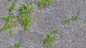 Textures   -   ARCHITECTURE   -   ROADS   -  Asphalt - Asphalt with grass texture seamless 21204