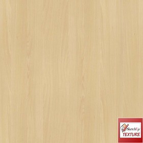 Textures   -   ARCHITECTURE   -   WOOD   -   Fine wood   -  Light wood - Beech fine wood PBR texture seamless 21556