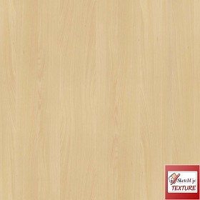 Textures   -   ARCHITECTURE   -   WOOD   -   Fine wood   -   Light wood  - Beech fine wood PBR texture seamless 21556