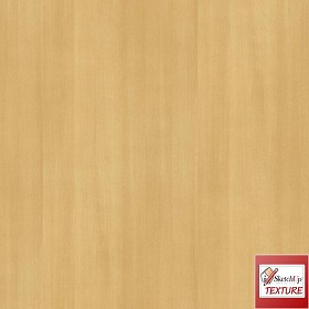 Textures   -   ARCHITECTURE   -   WOOD   -   Fine wood   -   Light wood  - Beech fine wood PBR texture-seamless 21558
