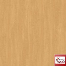 Textures   -   ARCHITECTURE   -   WOOD   -   Fine wood   -   Light wood  - Beech fine wood PBR texture seamless 21557