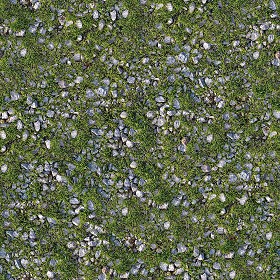 Textures   -   NATURE ELEMENTS   -  GRAVEL &amp; PEBBLES - Pebbles with grass texture seamless 20467