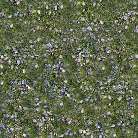 Textures   -   NATURE ELEMENTS   -   GRAVEL &amp; PEBBLES  - Pebbles with grass texture seamless 20467