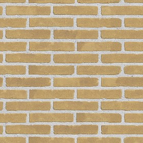 Textures   -   ARCHITECTURE   -   BRICKS   -   Facing Bricks   -   Smooth  - Facing smooth bricks texture seamless 00263 (seamless)