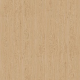 Textures   -   ARCHITECTURE   -   WOOD   -   Fine wood   -  Light wood - Birch fine wood PBR texture seamless 22014
