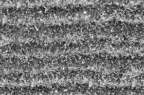 Textures   -   NATURE ELEMENTS   -   VEGETATION   -   Green grass  - Grass rows texture seamless 19657 - Bump