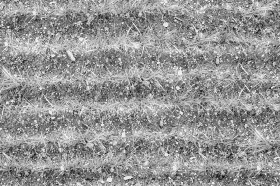 Textures   -   NATURE ELEMENTS   -   VEGETATION   -   Green grass  - Grass rows texture seamless 19657 - Displacement