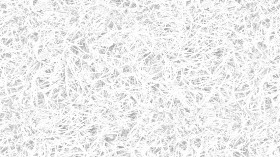 Textures   -   NATURE ELEMENTS   -   VEGETATION   -   Green grass  - Frozen grass texture seamless 19662 - Ambient occlusion