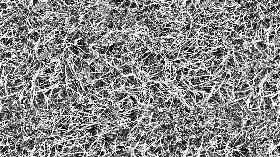 Textures   -   NATURE ELEMENTS   -   VEGETATION   -   Green grass  - Frozen grass texture seamless 19662 - Bump