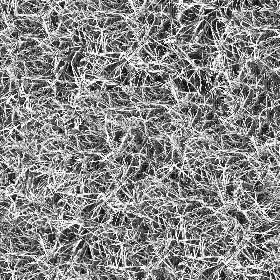 Textures   -   NATURE ELEMENTS   -   VEGETATION   -   Green grass  - Frozen grass texture seamless 19670 - Bump