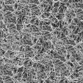 Textures   -   NATURE ELEMENTS   -   VEGETATION   -   Green grass  - Frozen grass texture seamless 19670 - Displacement