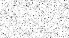 Textures   -   NATURE ELEMENTS   -   GRAVEL &amp; PEBBLES  - Gravel pebbles for rails texture seamless 20792 - Ambient occlusion