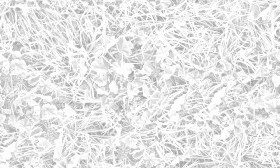 Textures   -   NATURE ELEMENTS   -   VEGETATION   -   Green grass  - Frozen grass texture seamless 19671 - Ambient occlusion
