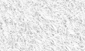 Textures   -   NATURE ELEMENTS   -   VEGETATION   -   Green grass  - Frozen grass texture seamless 19672 - Ambient occlusion