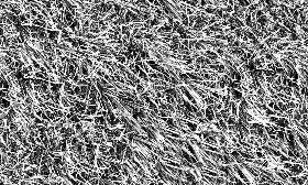 Textures   -   NATURE ELEMENTS   -   VEGETATION   -   Green grass  - Frozen grass texture seamless 19672 - Bump
