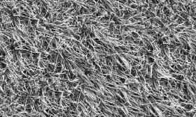 Textures   -   NATURE ELEMENTS   -   VEGETATION   -   Green grass  - Frozen grass texture seamless 19672 - Displacement