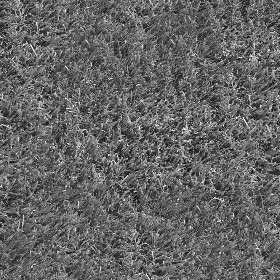 Textures   -   NATURE ELEMENTS   -   VEGETATION   -   Green grass  - alpine green grass texture seamless 21346 - Bump