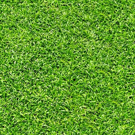 Textures   -   NATURE ELEMENTS   -   VEGETATION   -  Green grass - Green grass texture seamless 21349
