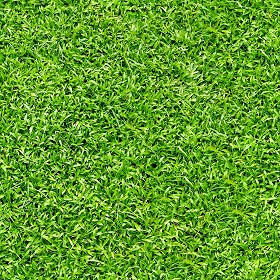 Textures   -   NATURE ELEMENTS   -   VEGETATION   -   Green grass  - Green grass texture seamless 21349