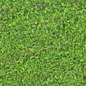 green grass textures seamless