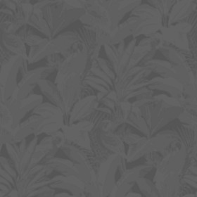 Textures   -   MATERIALS   -   WALLPAPER   -   various patterns  - Exotic parrots wallpaper texture seamless 20929 - Displacement