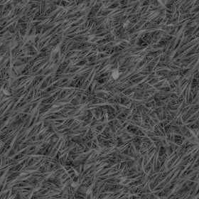 Textures   -   NATURE ELEMENTS   -   VEGETATION   -   Green grass  - Green grass PBR texture seamless 21693 - Displacement