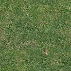 Textures   -   NATURE ELEMENTS   -   VEGETATION   -  Green grass - Green grass PBR texture seamless 21999