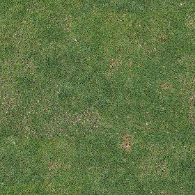 Green Grass Textures Seamless