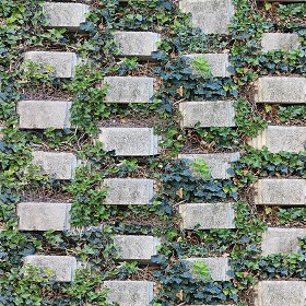 Textures  - Retaining wall with grass texture seamless 22393