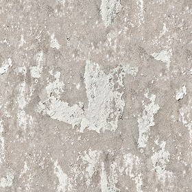 Concrete Wall Texture. Bare Cement Structure Surface. By Textures &  Overlays Store