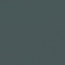 Textures   -   MATERIALS   -   LEATHER  - Leather texture seamless 09602 - Specular