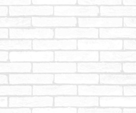 Textures   -   ARCHITECTURE   -   BRICKS   -   Facing Bricks   -   Rustic  - Rustic bricks texture seamless 00189 - Ambient occlusion