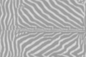 Textures   -   MATERIALS   -   FUR ANIMAL  - Zebra faux fake fur animal texture seamless 09566 - Displacement