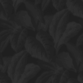 Textures   -   MATERIALS   -   WALLPAPER   -   various patterns  - Tropical leaves wallpaper texture seamless 20935 - Displacement
