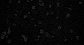 Textures   -   ARCHITECTURE   -   PAVING OUTDOOR   -   Concrete   -   Blocks regular  - Concrete paving outdoor with dead leaves texture seamless 19342 - Specular